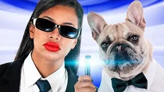 17 Formas de Escabullir Mascotas a un Caf&eacute; / Trucos y Bromas Graciosas con Mascotas