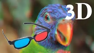 3D Wildlife   Free Nature animals Videos  3D No copyright video   Royalty free nature videos