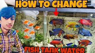 HOW TO CHANGE FISH TANK WATER 💦 ALL FISH TANK CLEAN 🫧@MughalAquaFish