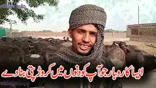Katta farming!Katta Farming business in Pakistan!village info