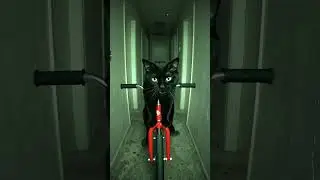 Found footage: cursed cat cycling into the abyss.#ghost #cat #foundfootage #horror #vibe