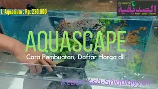 Ada Penghuni Baru di Kebun Ash-Shiddiqiyyah = AQUASCAPE (Tutorial Pembuatan + Harga-harganya)