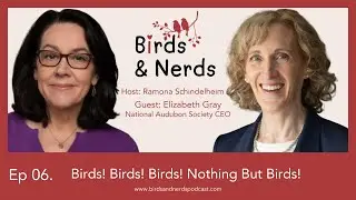 Birds & Nerds | Birds! Birds! Birds! This one is ALL about birds!