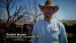 How R.A. Brown Ranch Uses FerAppease