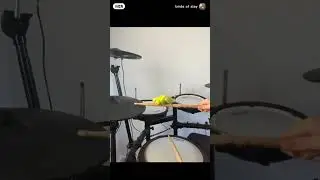 Funny parrot playing grums 😂 #animals #birds #parrot #drums
