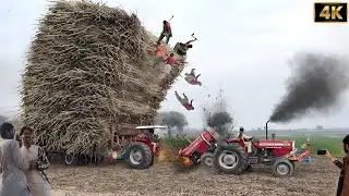 Massey Ferguson 385 Tractor Extreme Power💪 | tractor live accident | 4k Ultra HD | Falak 4k official