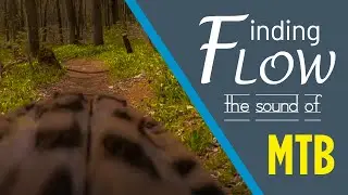 The Sound of Mountain Biking Flow! ASMR