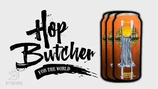 Quick Fallwater German Pale Ale Review