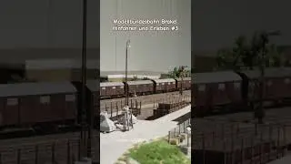 Modellbundesbahn Brakel Hinfahren und Erleben! Auf nach Ostwestfalen