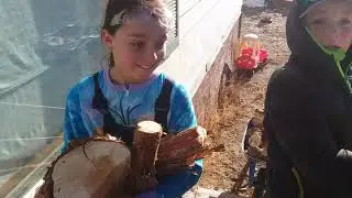 11&deg; splitting and stacking wood