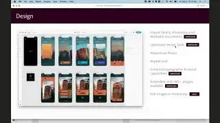 Intro to Adobe XD by Demian Borba (Demo Days)