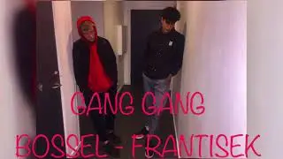 Bossel Ft  Frantisek - Gang Gang