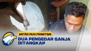 Dua Pengedar Ganja Ditangkap Polisi di Padang - [Metro Pagi Primetime]