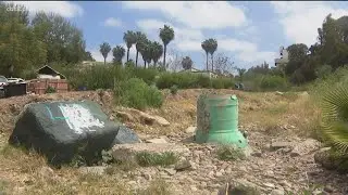 Local volunteers clean San Diego communities as part of Creek to Bay Clean Up