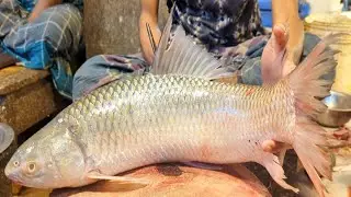 Amazing Fish Cutting Skills | Big Mrigal Fish Cutting By Expert Fish Cutter