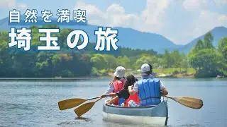 Forest Adventure in Japan