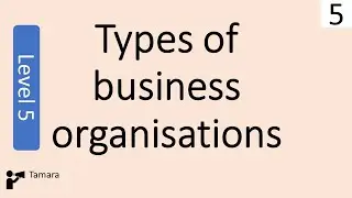 Types Of Business Organisations  - Business management Level 5