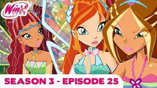 Winx Club | FULL EPISODE | Wizard's Anger | Season 3 Episode 25