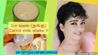 Ice Apple Carrot Milk Shake | Sai Terrace Garden Official