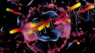 MNWKA intro