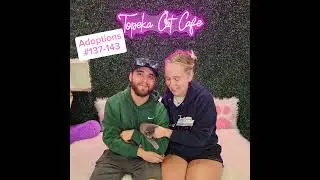 Adoptions #137-143