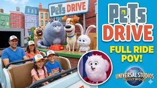 PETS DRIVE HOLLYWOOD UNIVERSAL STUDIO