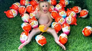 Monkey Baby RogSva Sleep ASMR surprise eggs Opening Kinder Joy Chocolate, Lollipops Candie
