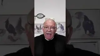 Skrifgedeelte: Johannes 8:30-36 Tema: Jesus se leer oor ware Geloof.