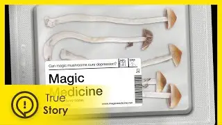 Can magic mushrooms cure depression?  - True Story Documentary Channel
