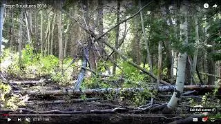 Rob Robles 2nd Part of Interview on Sasquatch Evidence