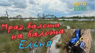 По болотам на болото. Ельня