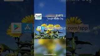 Sunflowers Follow The Sun (ShortStory)