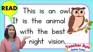 Reading Tutorial for Kids | Reading Compilation | Teacher Aya Online Tutor