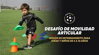 Desafío de movilidad articular