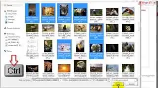 Comment Archiver ses Images dans SendOutCards