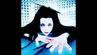 Evanescence -  Before the dawn (without distortion)