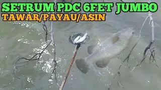 Setrum ikan pdc 6fet jumbo tawar/payau/asin