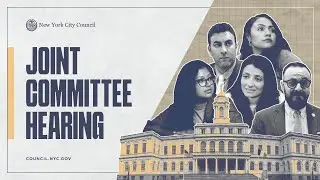 WATCH: Evaluating Access to Sickle Cell Care in NYC, Hosted Jointly by the Committees on Hospital&hellip;