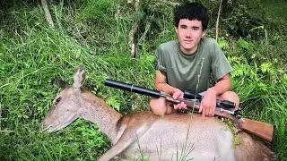 Shan's deer hunt in the Urewera.