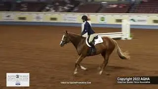 2022 Ford AQHYA World Hunter Hack