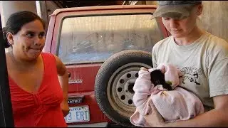 Rescue of a pet baby spider monkey