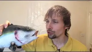 How to make your fish happy
