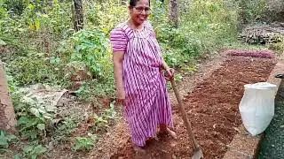 ഇങ്ങനെ നട്ടാൽ വിളവ് കൂടുതൽ കിട്ടും.❤️❤️❤️❤️❤️❤️