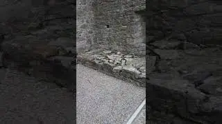 Cahir Castle, Co. Tipperary. #ireland #history #medieval #tipperary #shorts