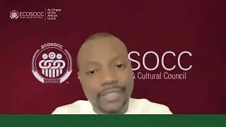 From Courts to COP: Harnessing Legal Momentum for African Climate Reparations | ECOSOCC CCWG Webinar
