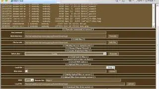 Hacking Academy -  get root server linux demo