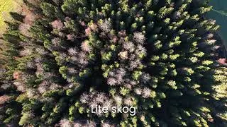 Sunnansj&ouml; 102