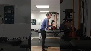 Standing Chest Press