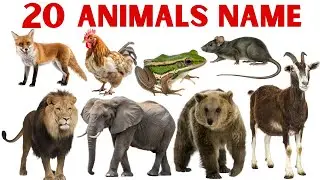 Animals Name for Kids | जानवरों के नाम | Learn Wild & Domestic Animals
