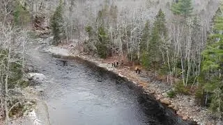 North River (Cape Breton Highlanders)